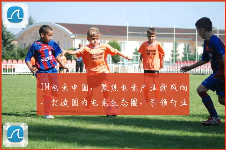 IM电竞中国，聚焦电竞产业新风向，打造国内电竞生态圈，引领行业发展新潮流，助力电竞产业腾飞