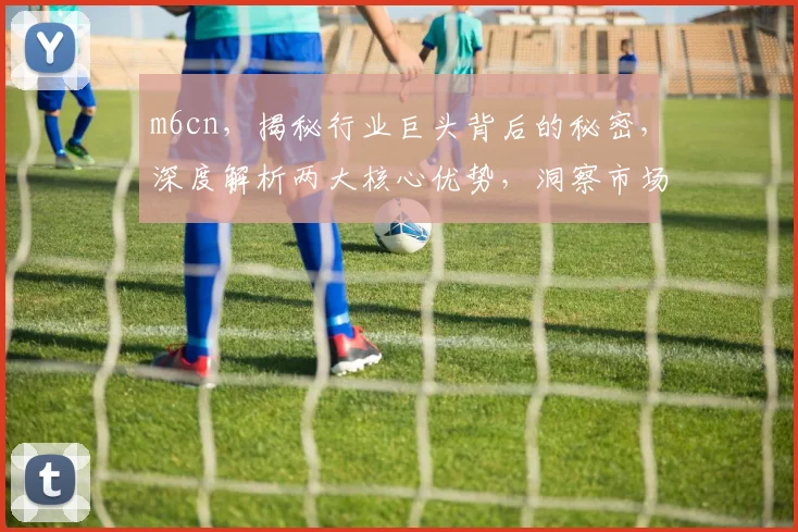 m6cn，揭秘行业巨头背后的秘密，深度解析两大核心优势，洞察市场脉搏