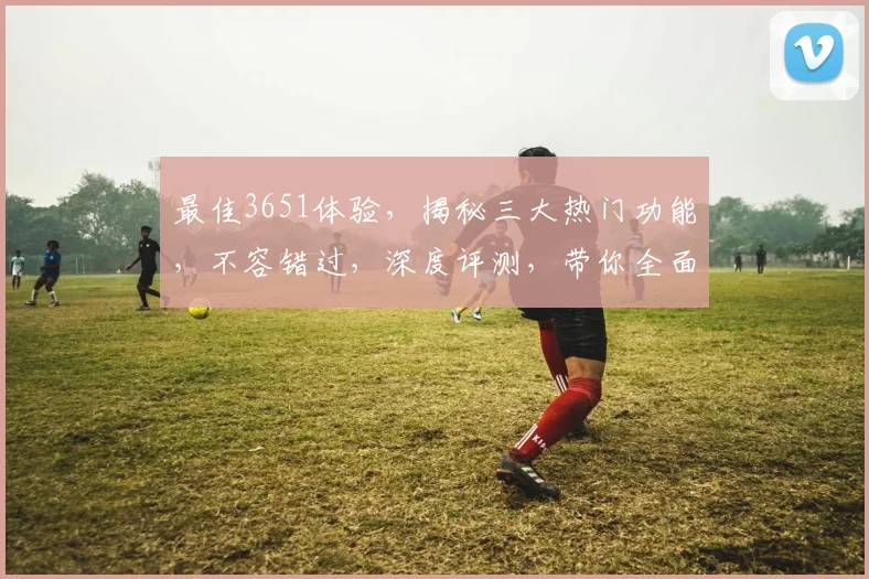 最佳3651体验，揭秘三大热门功能，不容错过，深度评测，带你全面了解