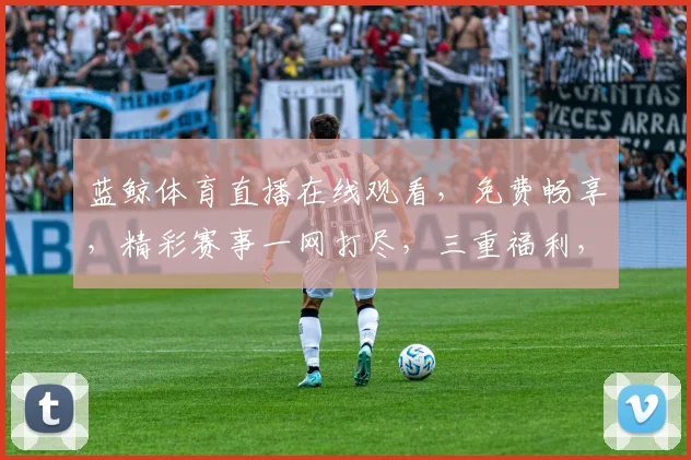 蓝鲸体育直播在线观看，免费畅享，精彩赛事一网打尽，三重福利，不容错过，速来体验