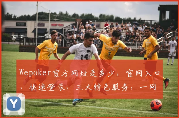 Wepoker官方网址是多少，官网入口，快速登录，三大特色服务，一网打尽
